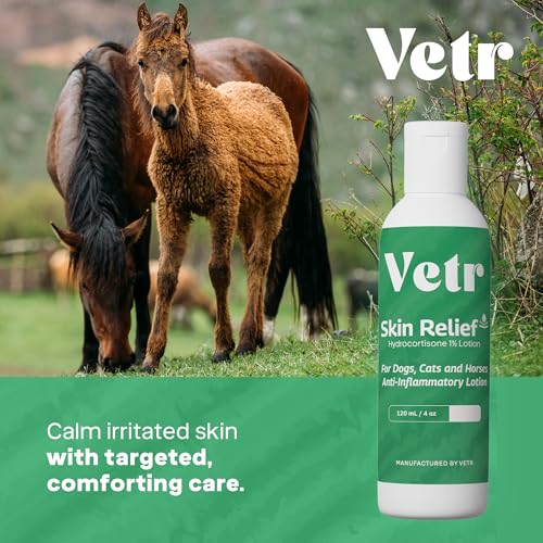 vetr Skin Relief Hydrocortisone Gel for Dogs - Topical Support for Itchy Skin and Hot Spots - 4 oz (120mL) - Vet-Formulated in USA