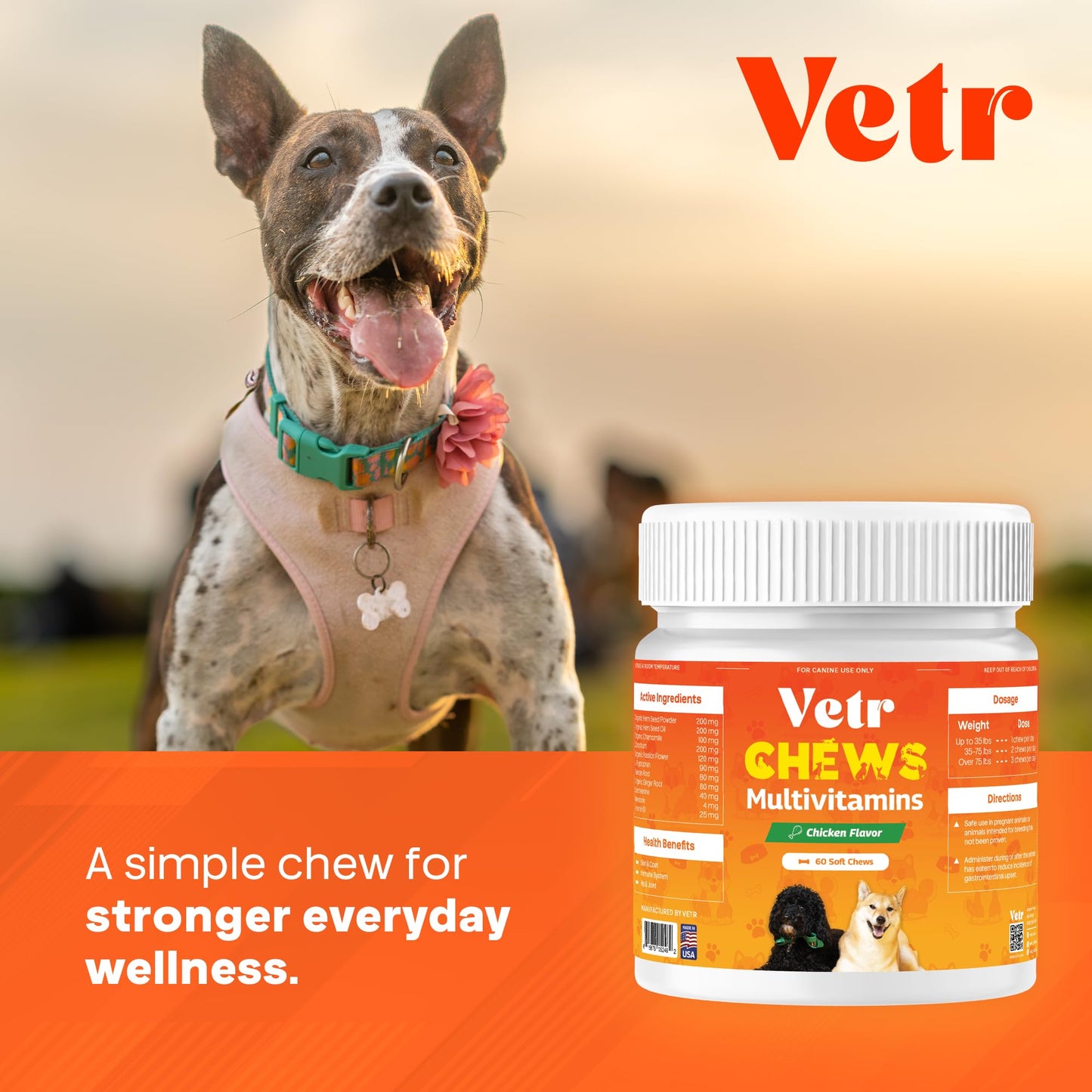 Vetr Multivitamin Chews for Dogs - Grain Free Dog Vitamins and Supplements for Skin & Coat, Glucosamine Chondroitin Joint Support - Chicken Flavored 120 Count - Vet-Formulated in USA