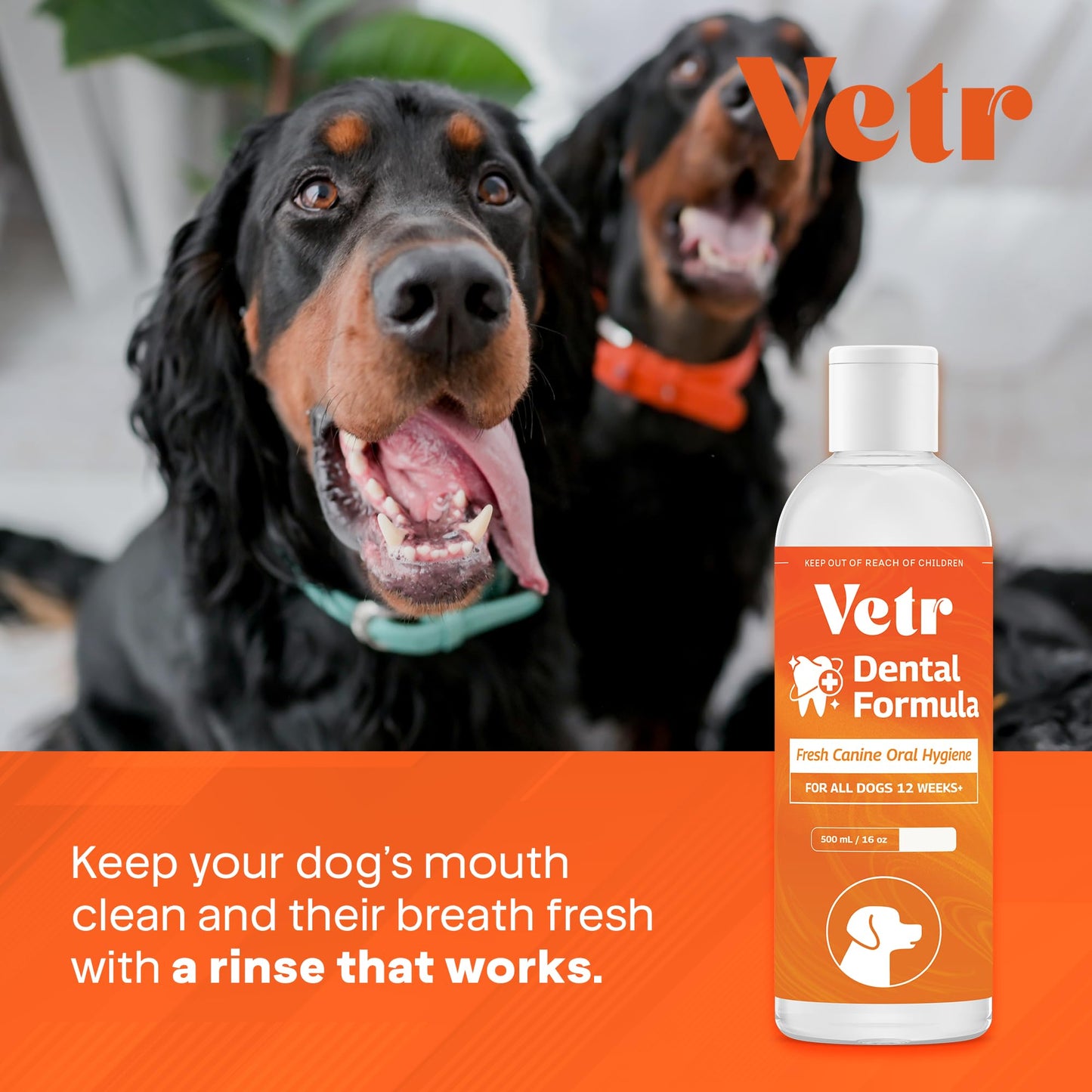 Vetr Dental Formula for Dogs - Peppermint Flavored Oral Care Liquid Additive with Enzymes for Breath and Teeth Support - Vet-Formulated in USA (16 oz)