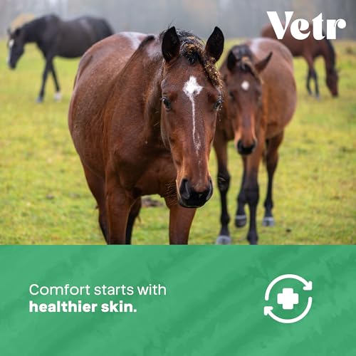 vetr Skin Relief Hydrocortisone Gel for Dogs - Topical Support for Itchy Skin and Hot Spots - 4 oz (120mL) - Vet-Formulated in USA