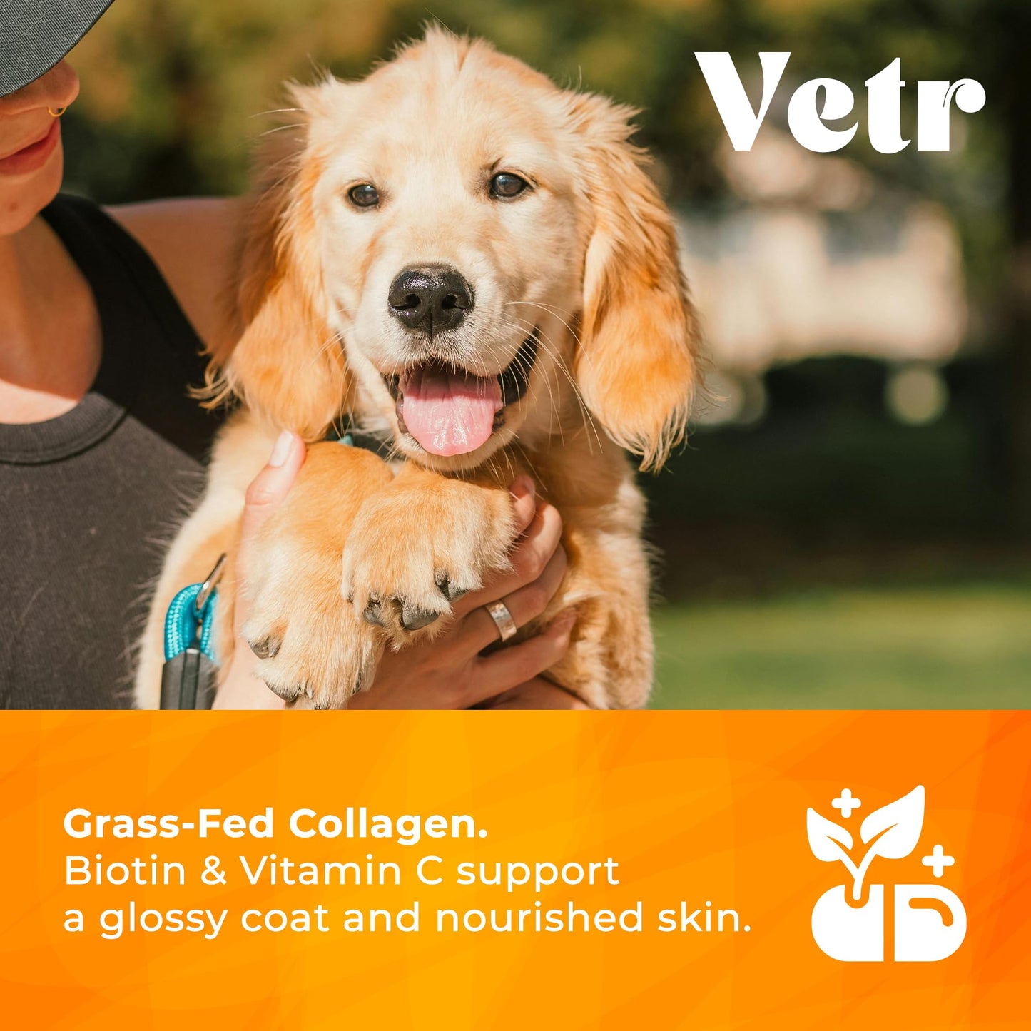 Vetr Skin & Coat Collagen for Dogs - Bacon Flavored Liquid Supplement - Supports Healthy Skin & Shiny Coat - 4 oz (120mL) - Vet-Formulated in USA