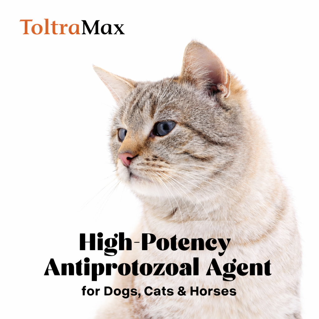 ToltraMax Toltrazuril 2.5% 5% 10% for Horses, Dogs, Cats, for Non-Food Chain Animals (Flavored)