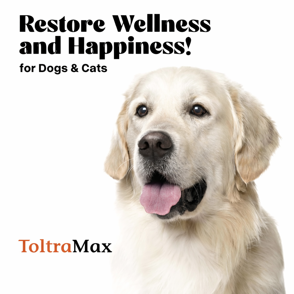 ToltraMax Toltrazuril 2.5% 5% 10% for Horses, Dogs, Cats, for Non-Food Chain Animals (Flavored)