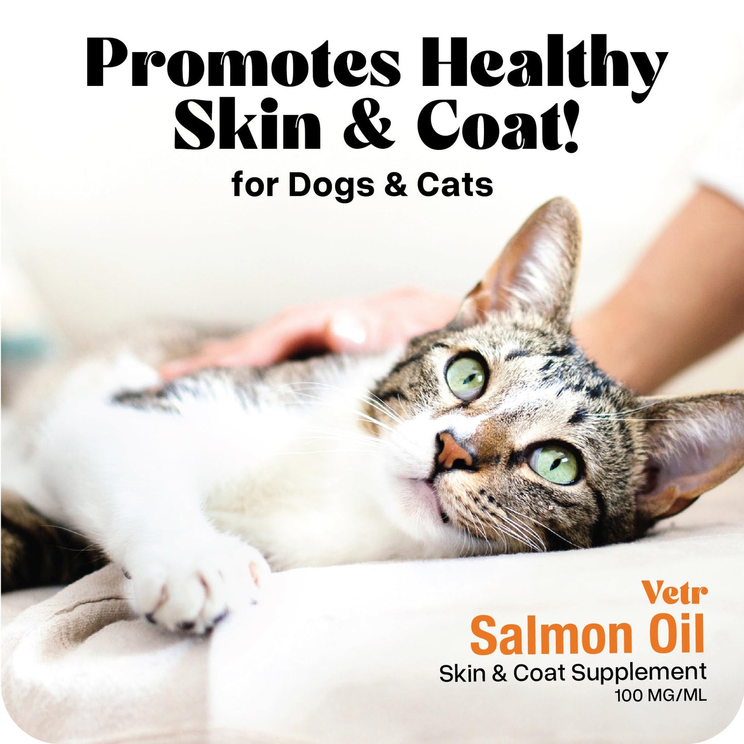 Vetr Norwegian Salmon Oil for Dogs & Cats, 16.9 oz - Omega 3 Fish Oil for Healthy Skin, Shiny Coat, Joint & Heart Health