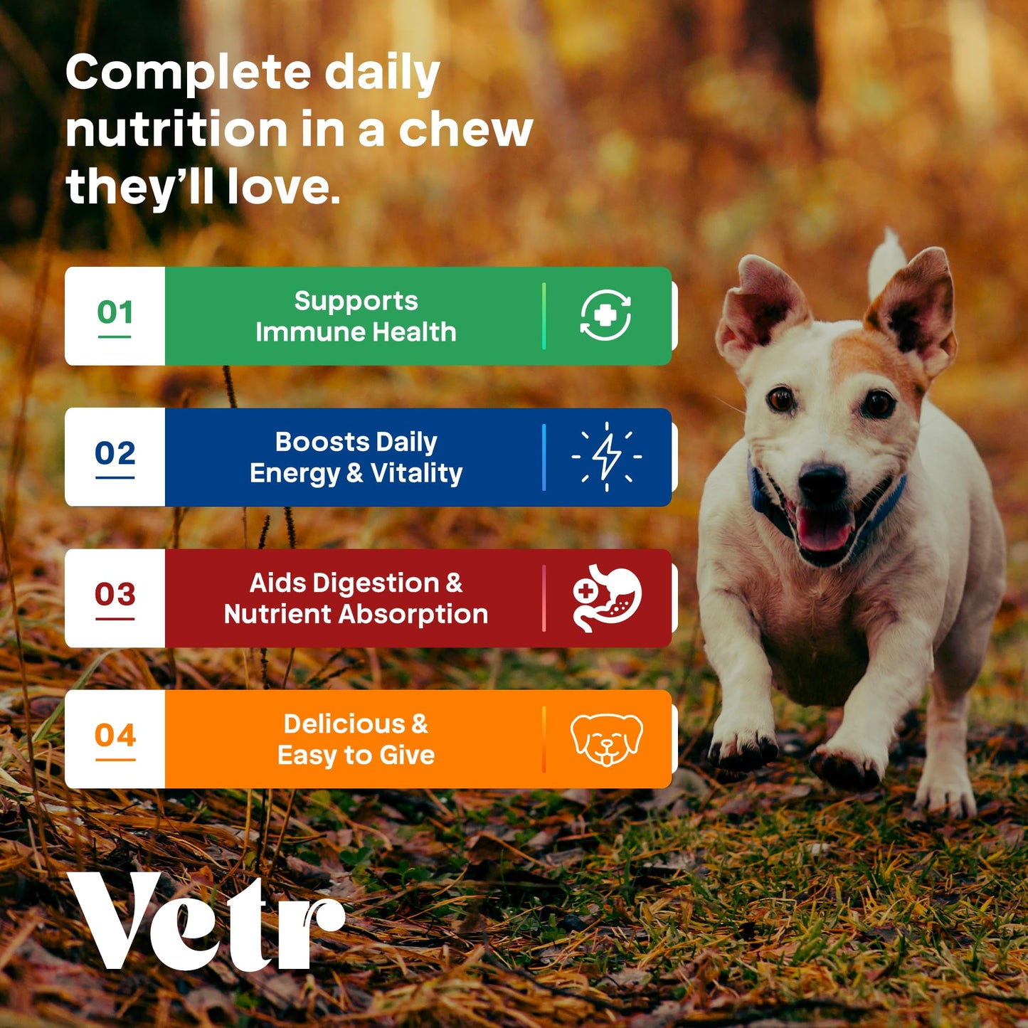 Vetr Multivitamin Chews for Dogs - Grain Free Dog Vitamins and Supplements for Skin & Coat, Glucosamine Chondroitin Joint Support - Chicken Flavored 120 Count - Vet-Formulated in USA